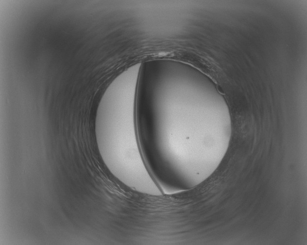 X0000060741442200511100859