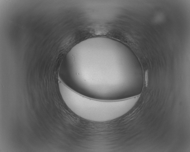 X0000060741443200511100859