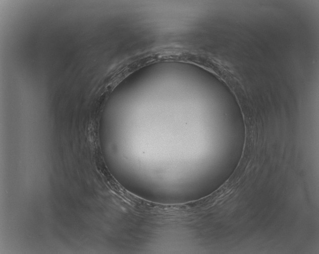X0000060741445200511100859