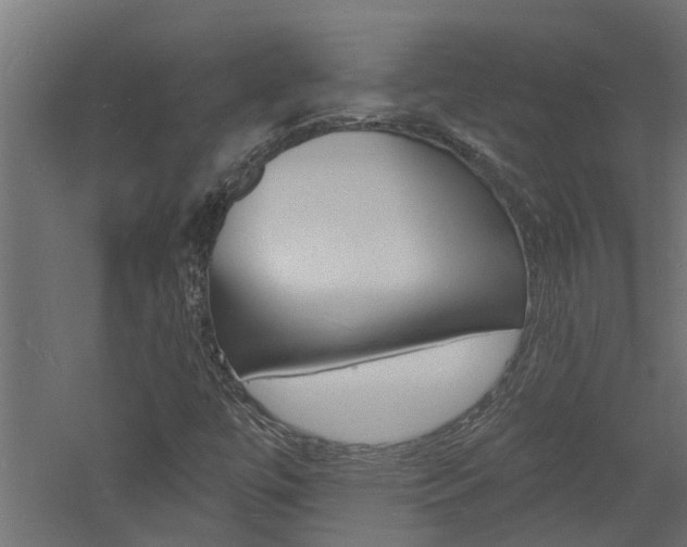 X0000060741447200511100859