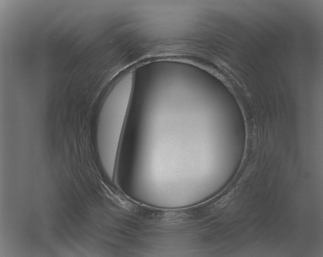 X0000060741449200511100859
