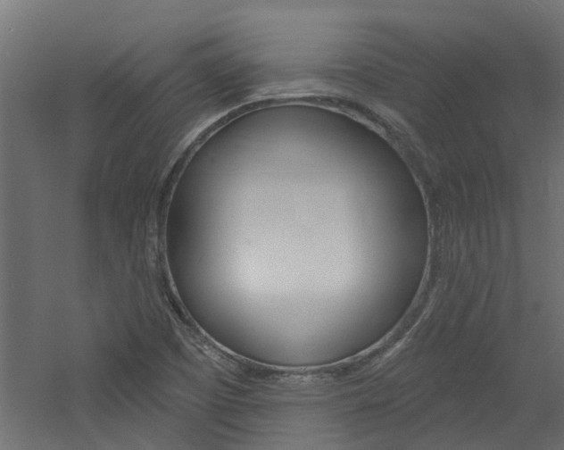 X0000060741457200511100859