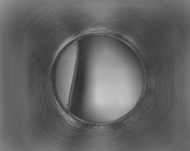 X0000060741458200511100859