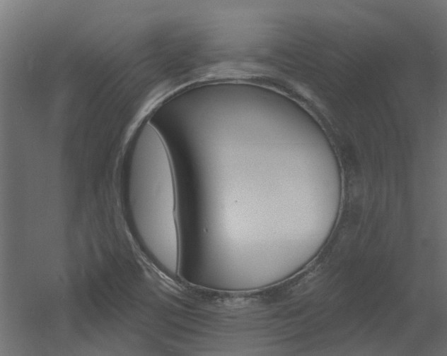 X0000060741459200511100859