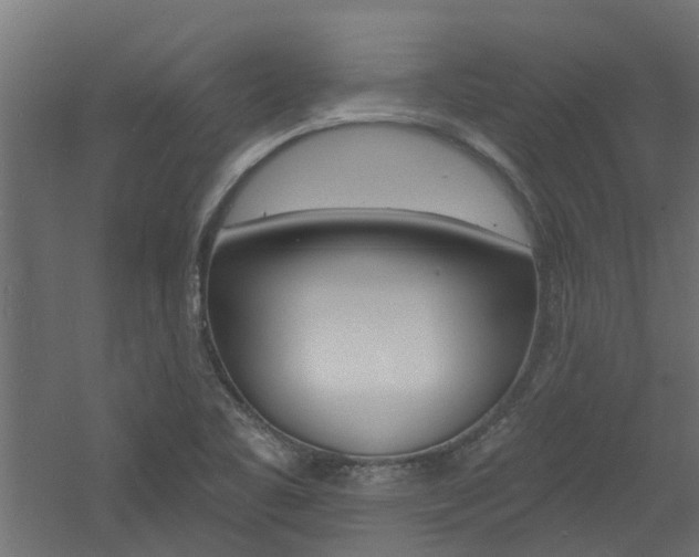 X0000060741461200511100859