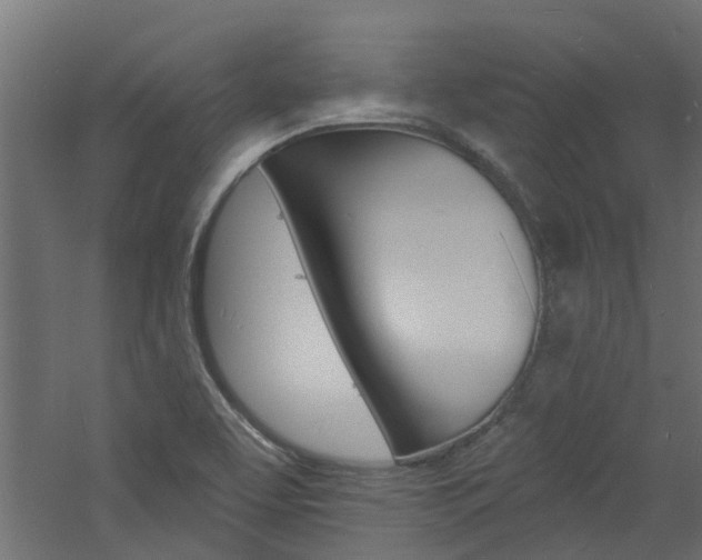 X0000060741463200511100859