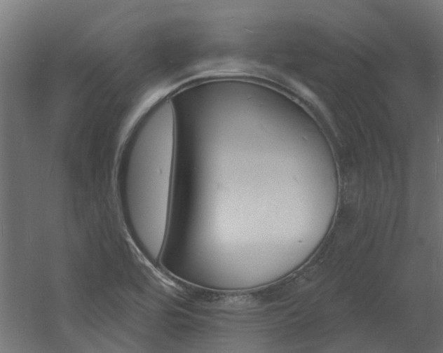 X0000060741464200511100859