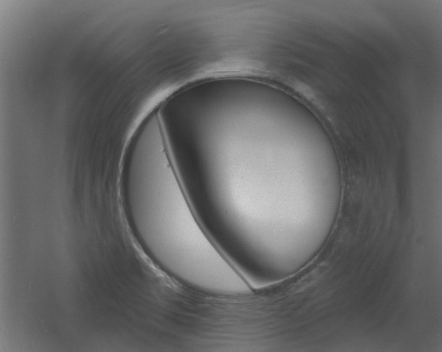 X0000060741469200511100859