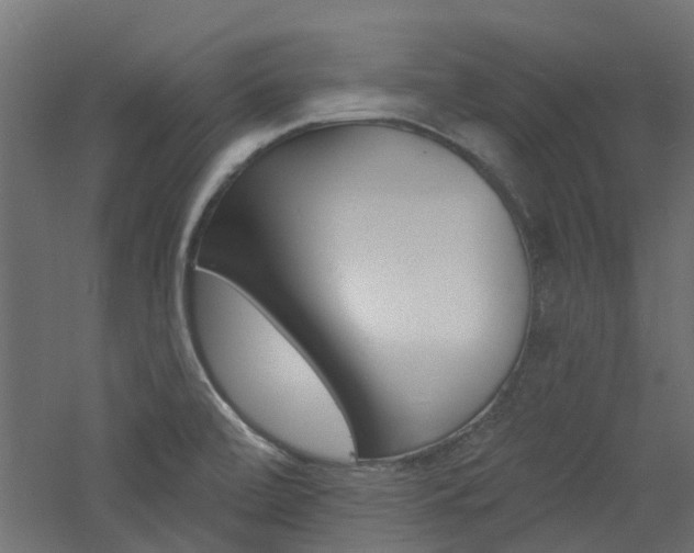 X0000060741472200511100859