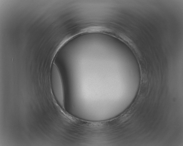 X0000060741473200511100859