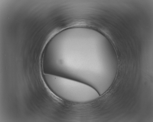 X0000060741475200511100858