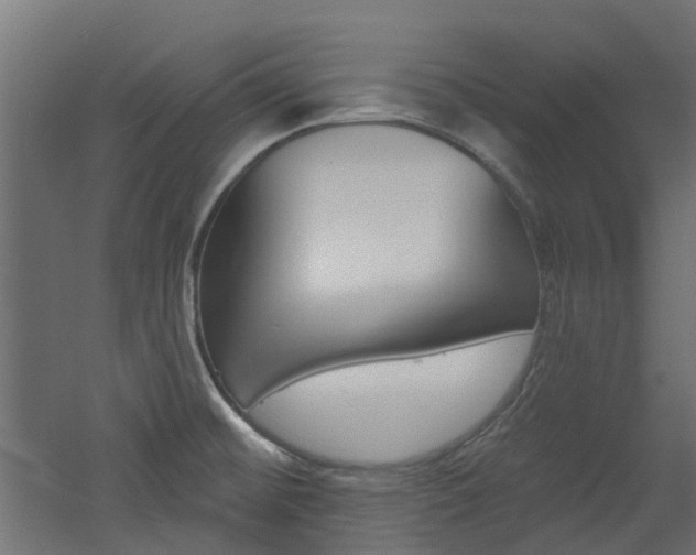 X0000060741476200511100858