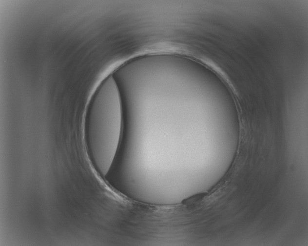 X0000060741477200511100858