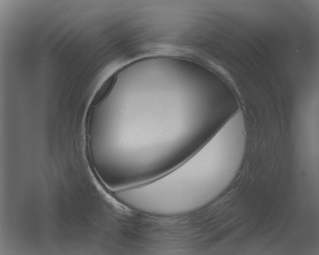 X0000060741479200511100858