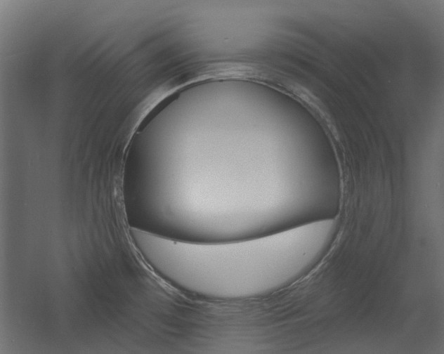 X0000060741481200511100858