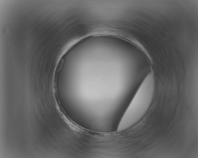X0000060741485200511100858