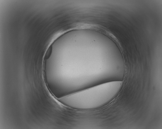 X0000060741487200511100858