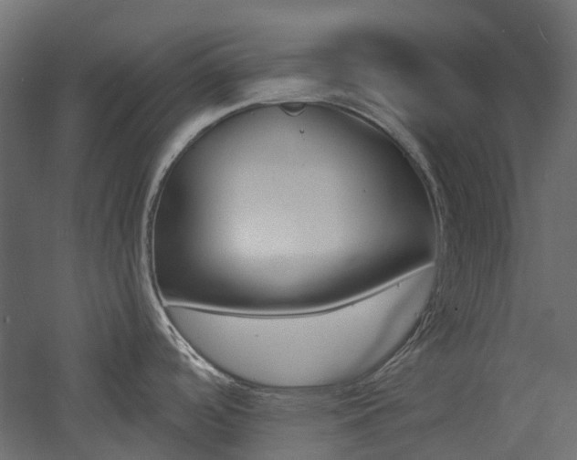 X0000060741488200511100858