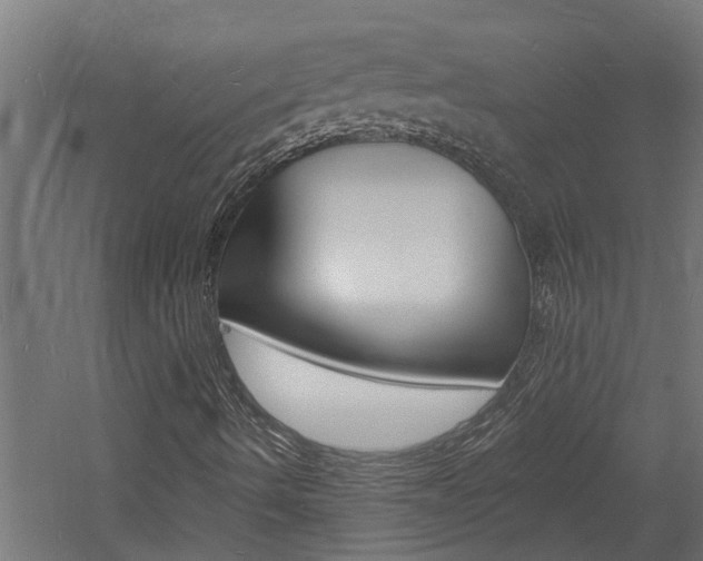 X0000060741490200511100857