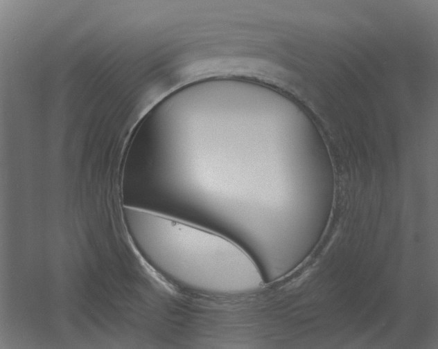 X0000060741521200511100858