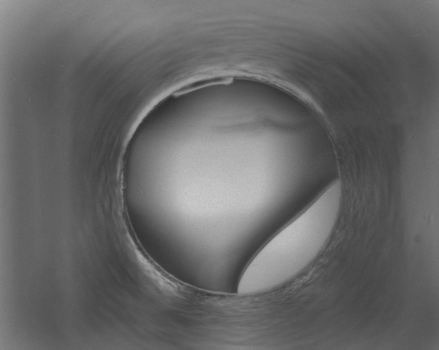 X0000060741524200511100858