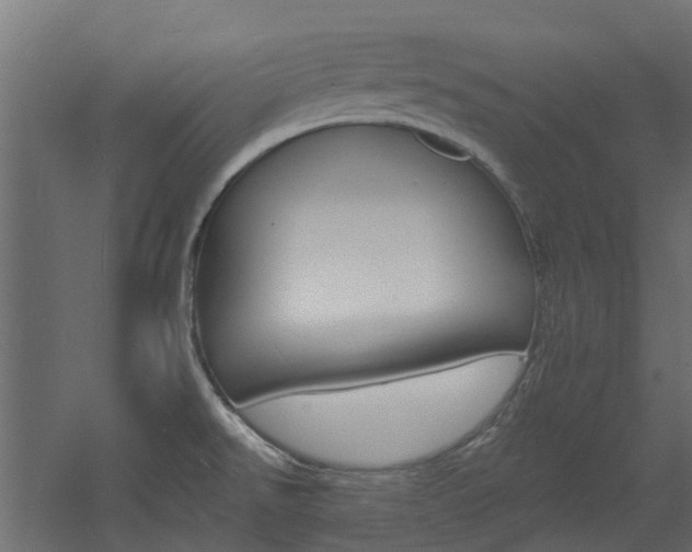 X0000060741526200511100858