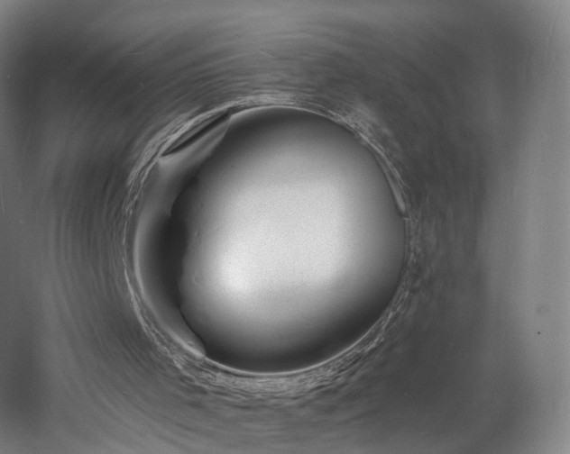 X0000060740001200511101120