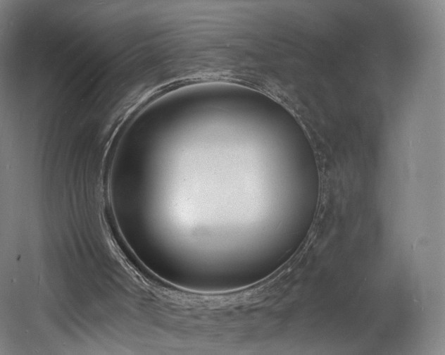 X0000060740002200511101120