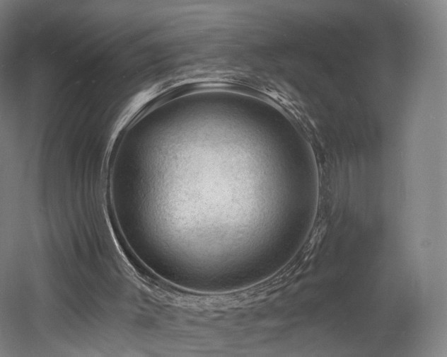 X0000060740003200511101120