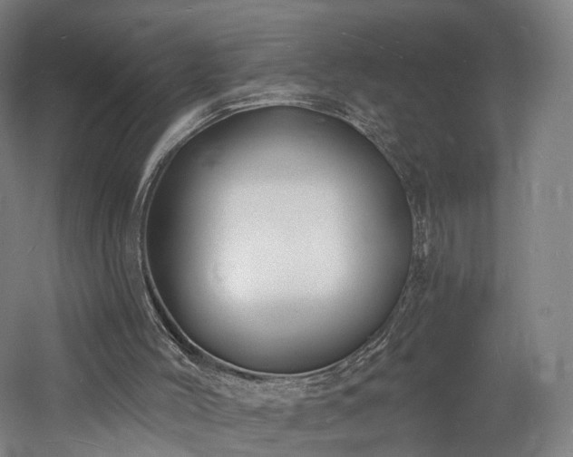 X0000060740004200511101120