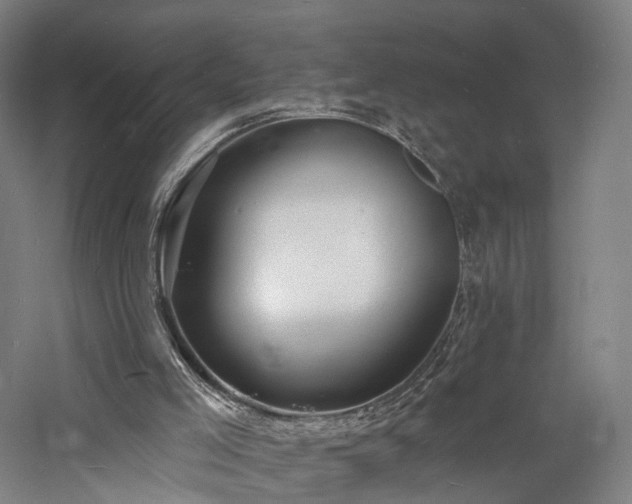 X0000060740005200511101120