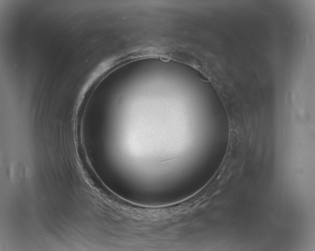 X0000060740006200511101120