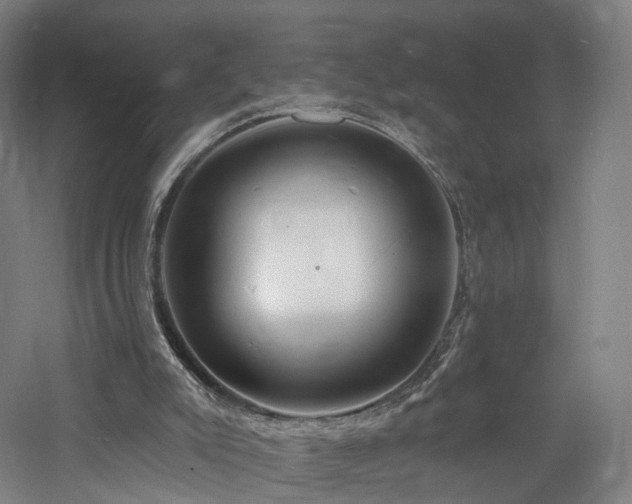 X0000060740007200511101120