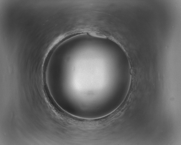 X0000060740008200511101120