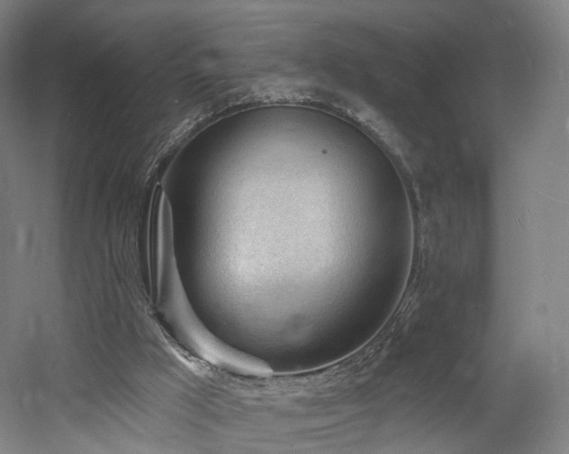 X0000060740009200511101120