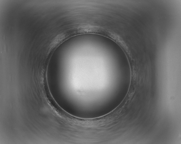 X0000060740010200511101120