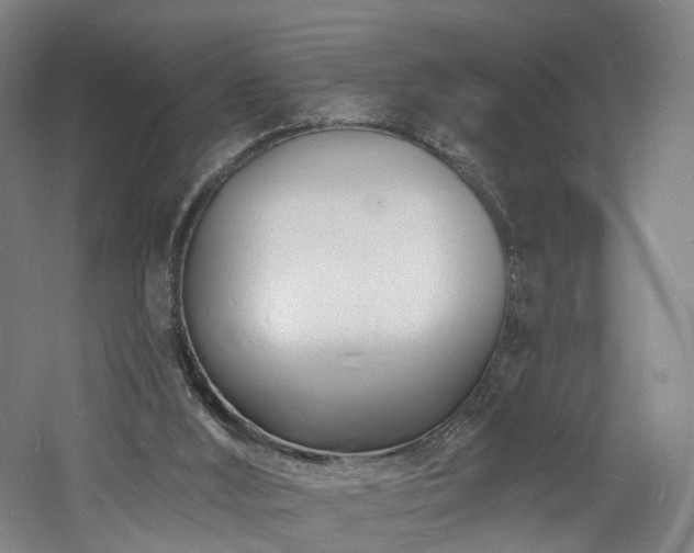 X0000060740012200511101120