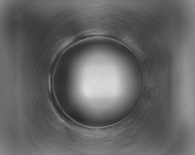 X0000060740014200511101120