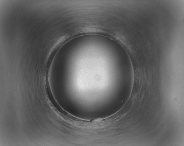 X0000060740015200511101120