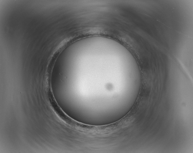 X0000060740016200511101120