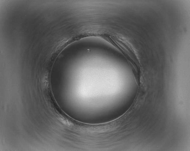 X0000060740017200511101120