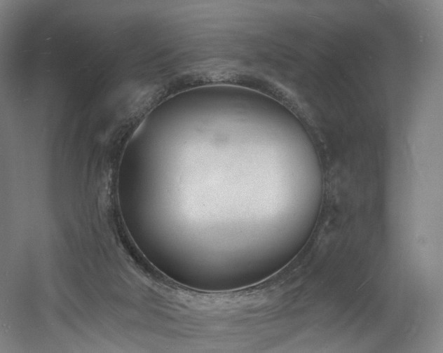 X0000060740018200511101120