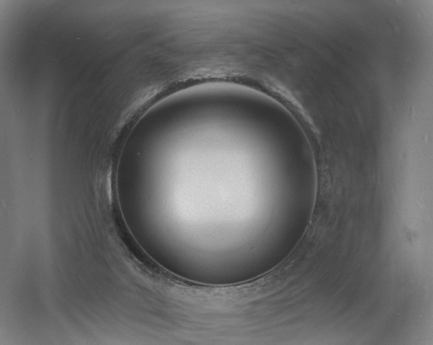 X0000060740019200511101120