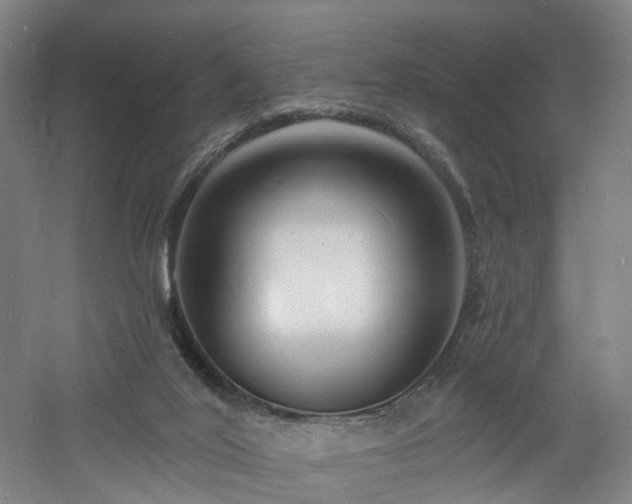 X0000060740020200511101120