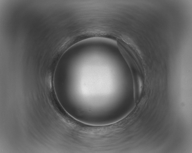 X0000060740021200511101120