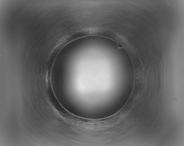 X0000060740024200511101120