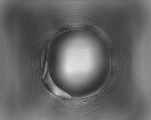 X0000060740025200511101120