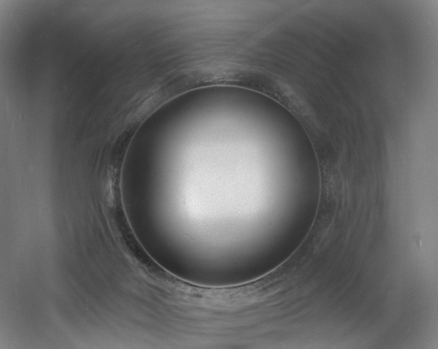 X0000060740026200511101120