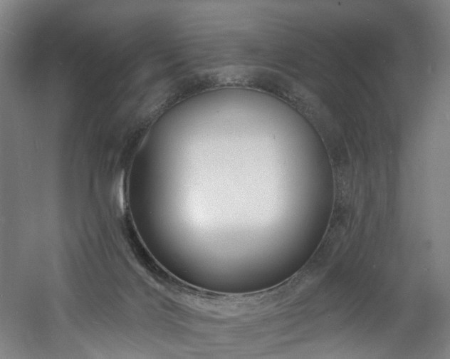 X0000060740028200511101120