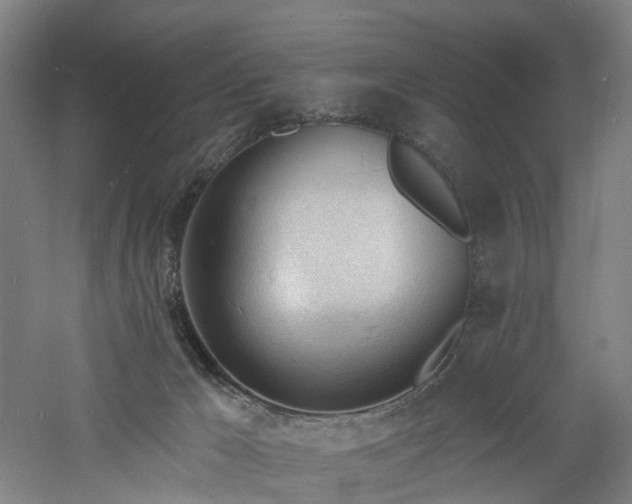 X0000060740029200511101120